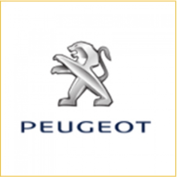 Peugeot Tamir ve Bakımı