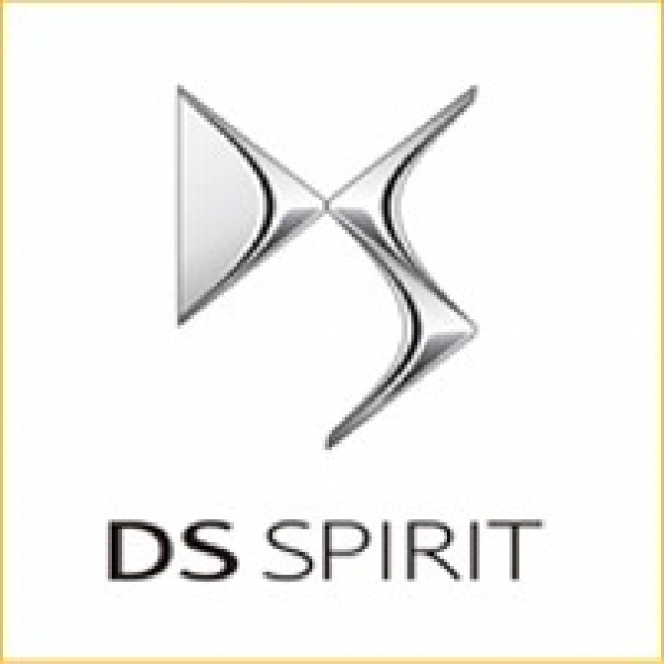 DS Spirit Tamir ve Bakımı